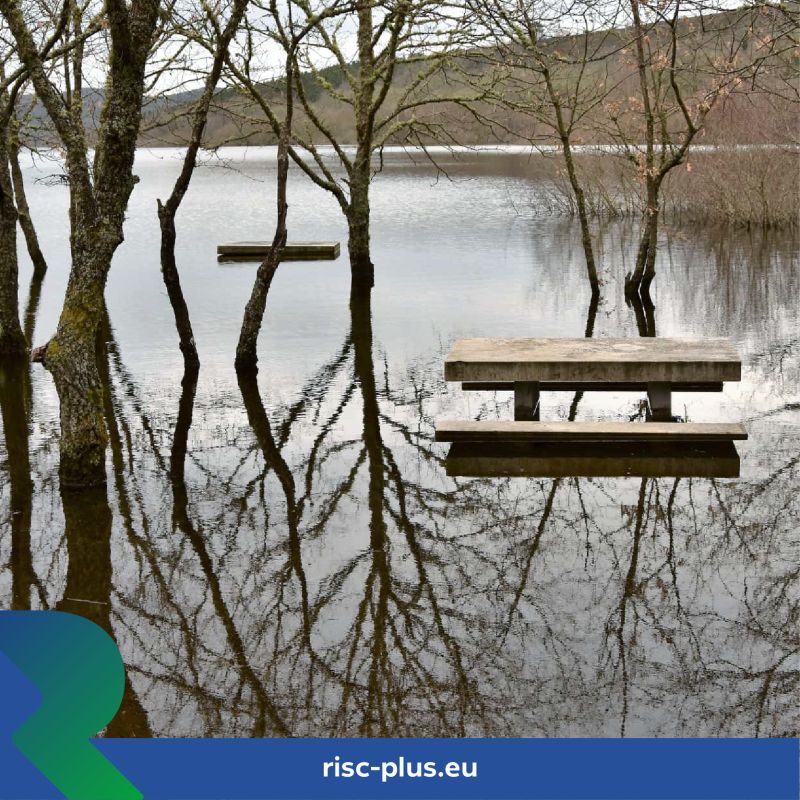 Día Mundial del Medio Ambiente